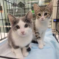 Thumbnail photo of Dot #2