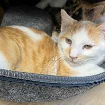 Thumbnail photo of Zip #3