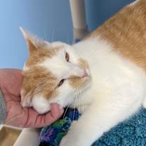 Thumbnail photo of Zip #4