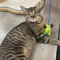 Thumbnail photo of Jar Jar #3