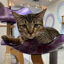 Thumbnail photo of Jar Jar #4