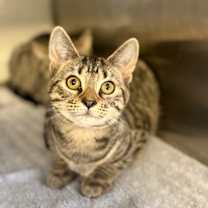 Thumbnail photo of Zeta #1