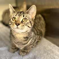 Thumbnail photo of Zeta #2