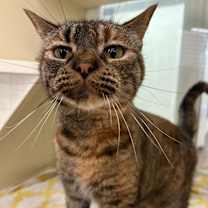 Thumbnail photo of Lela #2