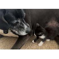 Thumbnail photo of Spoon #4