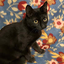 Thumbnail photo of Maggie McKenzie #1