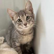 Thumbnail photo of Kareem #1