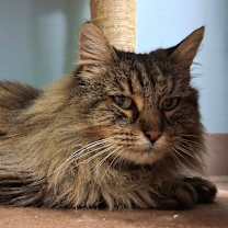 Thumbnail photo of Katy #1