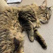 Thumbnail photo of Katy #2