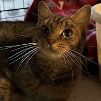 Thumbnail photo of Jan #2