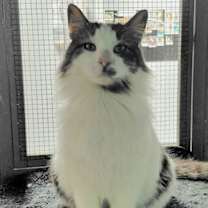 Thumbnail photo of Bucky #2