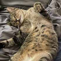 Thumbnail photo of Frank Abagnale #1