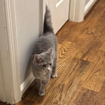 Thumbnail photo of Flower #3