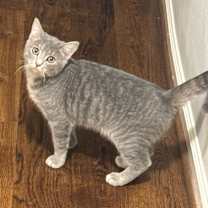 Thumbnail photo of Flower #4