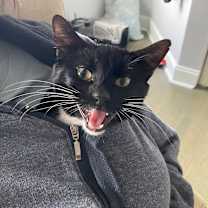 Thumbnail photo of Robert #1