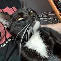 Thumbnail photo of Robert #2