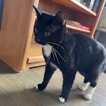 Thumbnail photo of Robert #3