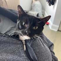 Thumbnail photo of Robert #4