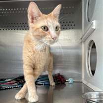 Thumbnail photo of Mimi #2