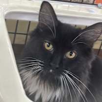 Thumbnail photo of Nadia #1