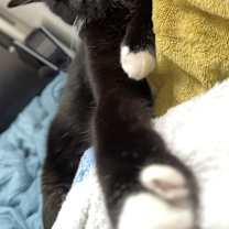 Thumbnail photo of Noodle #3