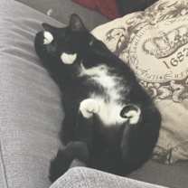 Thumbnail photo of Noodle #4