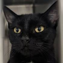 Thumbnail photo of Trisha Paytas #2