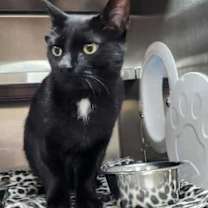 Thumbnail photo of Trisha Paytas #3