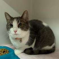 Thumbnail photo of Elsee #2