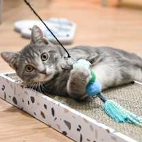 Thumbnail photo of Willow #3