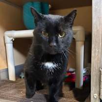 Thumbnail photo of Lector #4