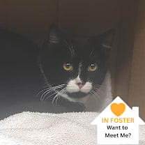 Thumbnail photo of Maguire #1