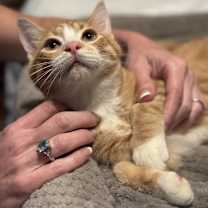 Thumbnail photo of Reese #3