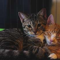 Thumbnail photo of Reese #4