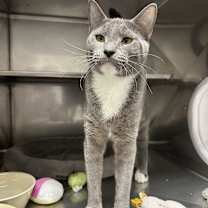 Thumbnail photo of Bear #2