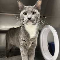 Thumbnail photo of Bear #3