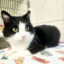 Thumbnail photo of Orlando #1