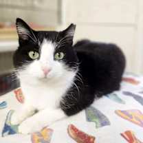 Thumbnail photo of Orlando #2