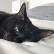 Thumbnail photo of Toupie #1