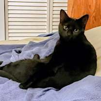 Thumbnail photo of Felicity #3