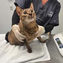 Thumbnail photo of HipHop #1