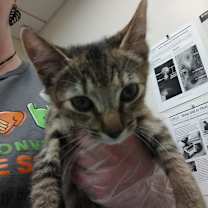 Thumbnail photo of HipHop #2