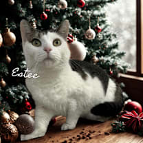 Thumbnail photo of Estee #1