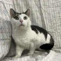 Thumbnail photo of Estee #3