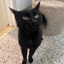 Thumbnail photo of Luna #3