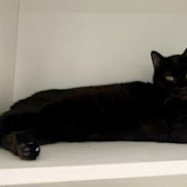 Thumbnail photo of Dolly L #1