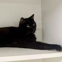 Thumbnail photo of Dolly L #2