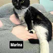 Thumbnail photo of Marina #2