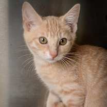 Thumbnail photo of Cabbage Patch Kid #1