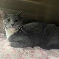 Thumbnail photo of Maria #1